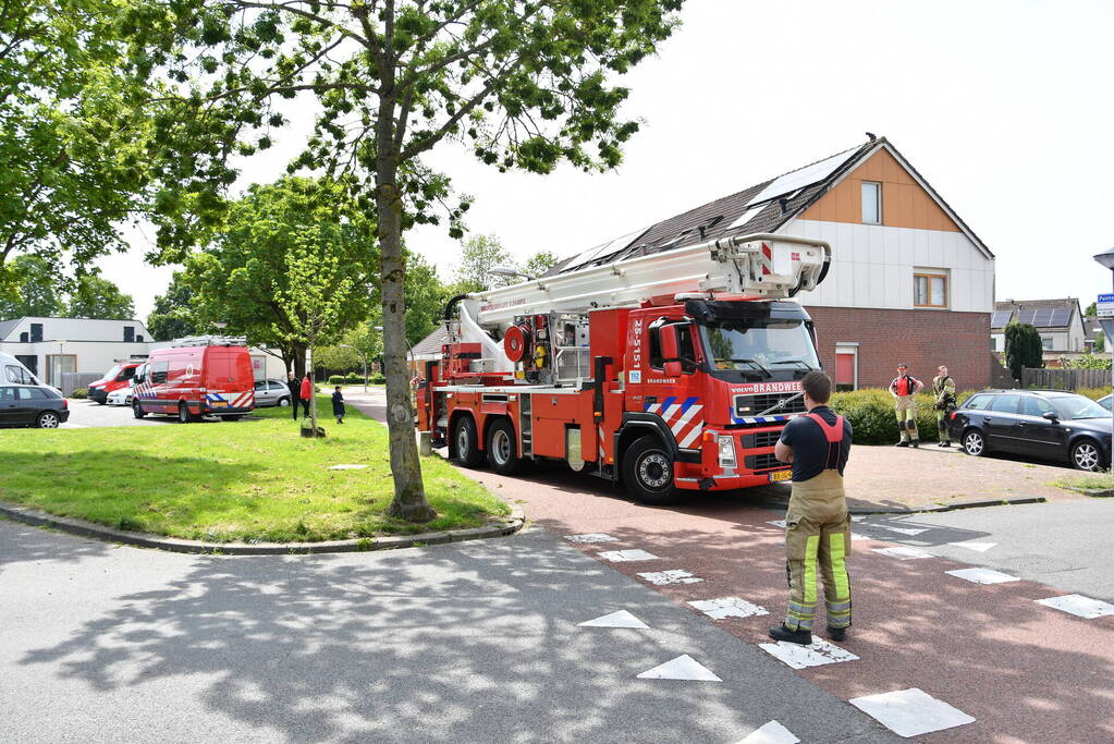 Brandweer redt kat Maruow van dak