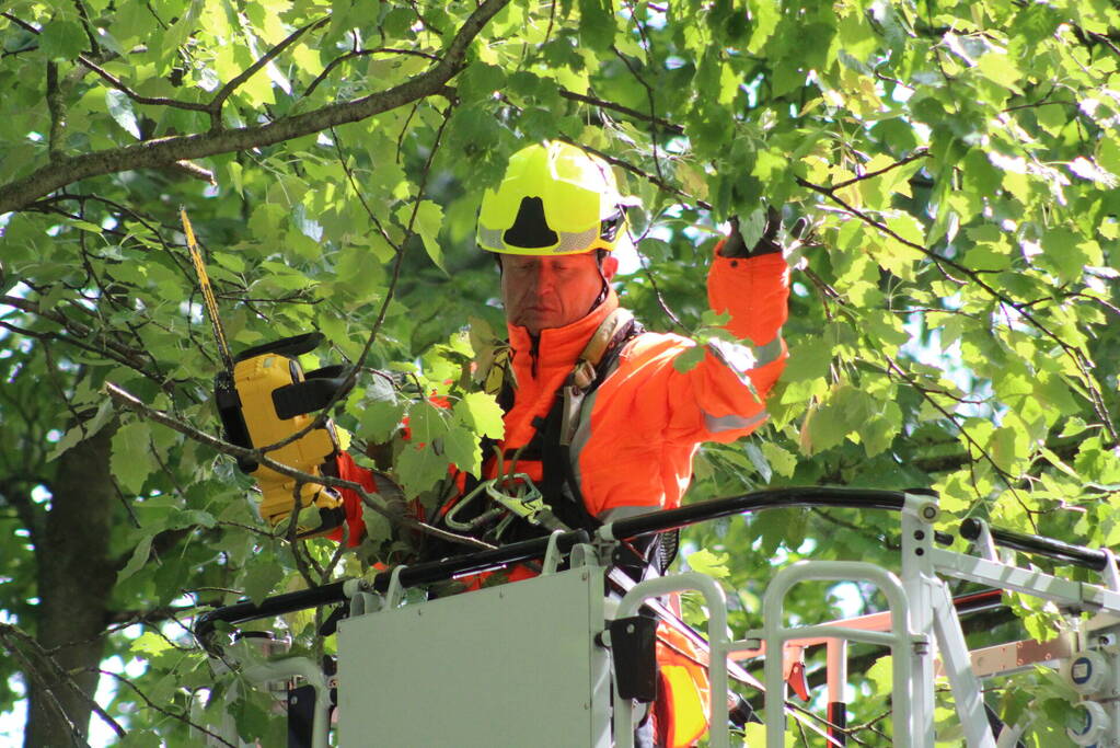 Brandweer verwijdert gevaarlijk hangende tak