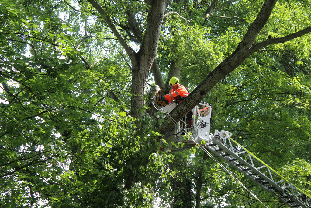 Brandweer verwijdert gevaarlijk hangende tak