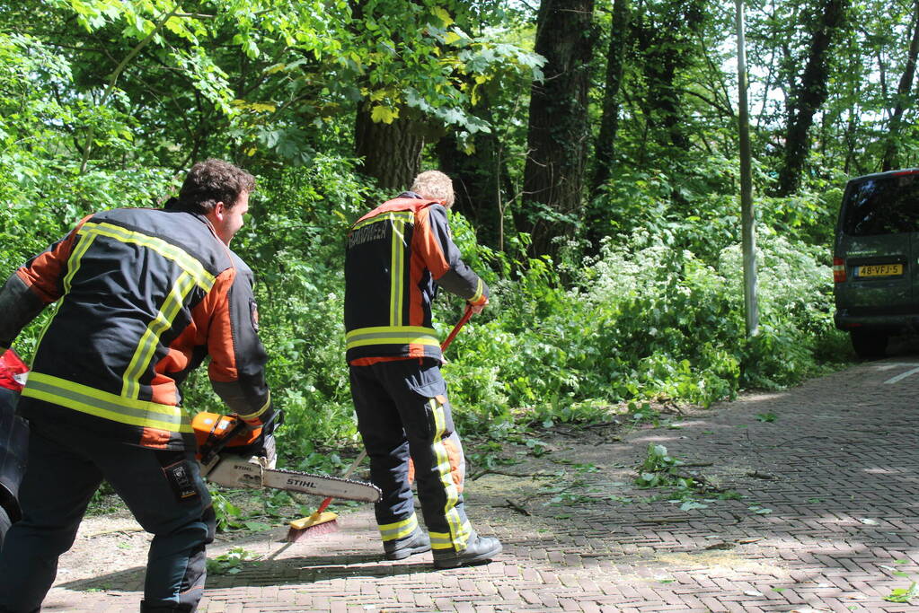 Brandweer verwijdert gevaarlijk hangende tak