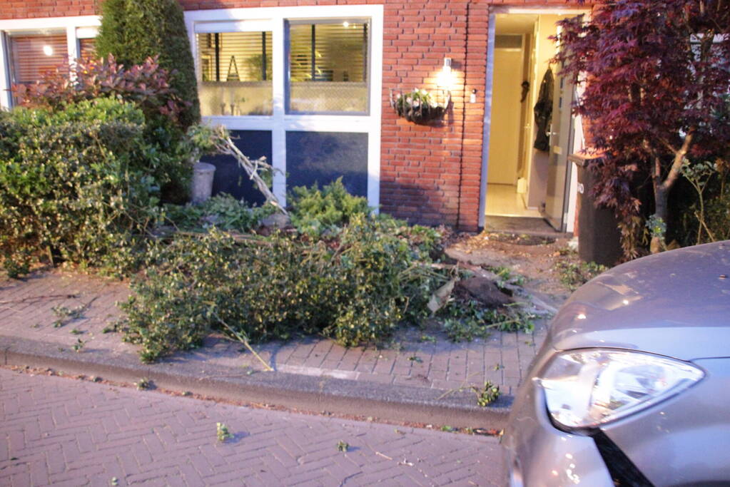 Bestuurster belandt met auto in voortuin