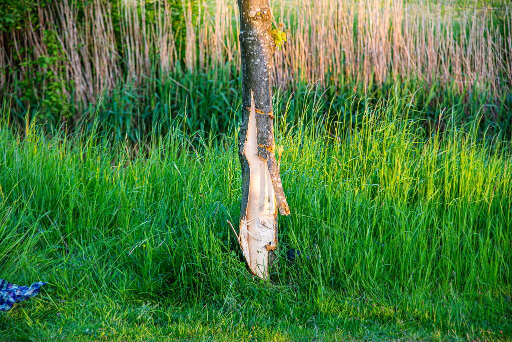 Scooterrijder ernstig gewond na frontale botsing tegen boom