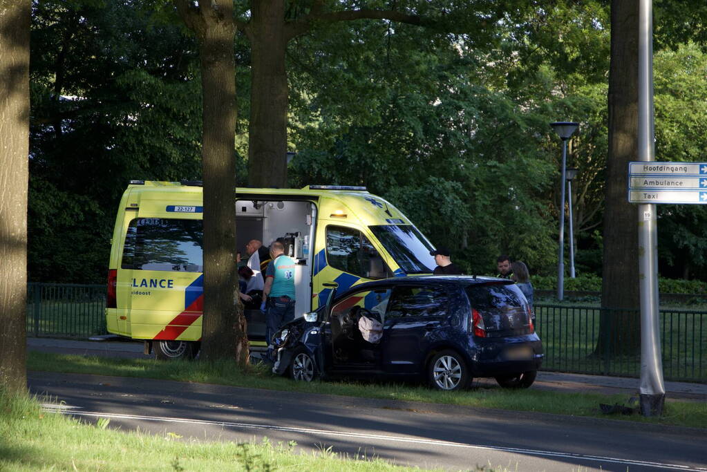 Auto raakt van weg en ramt boom