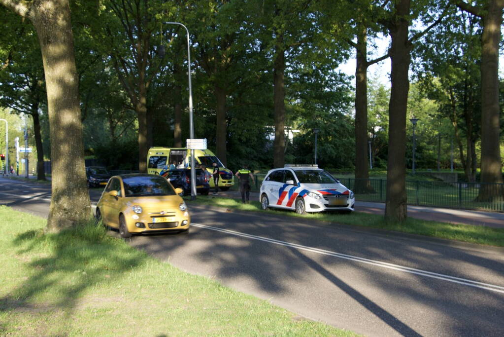 Auto raakt van weg en ramt boom