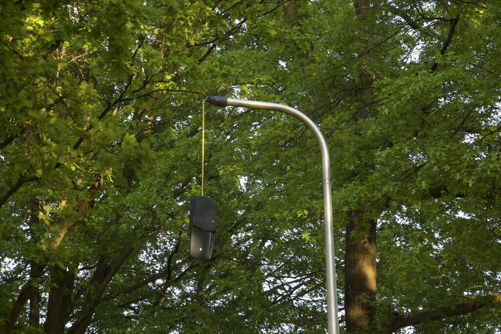 Auto raakt van weg en ramt boom