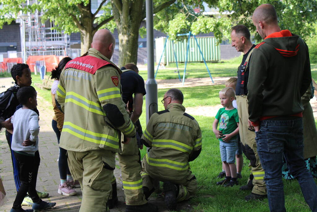 Nest met vogels vast in lantaarnpaal
