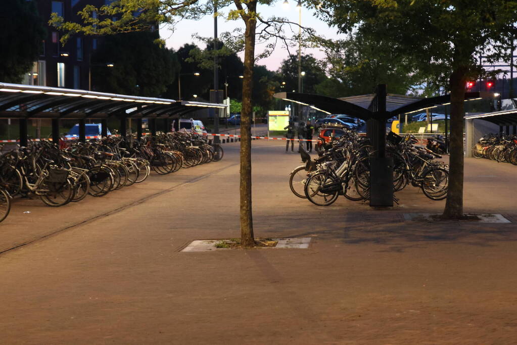 Arrestatieteam houdt verdachte aan in trein