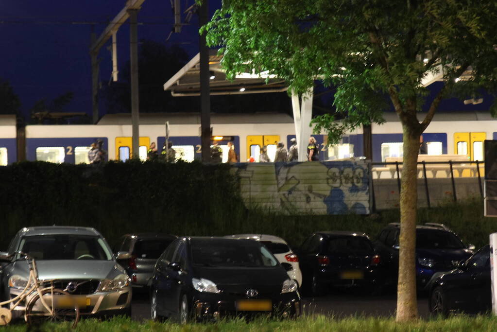 Arrestatieteam houdt verdachte aan in trein