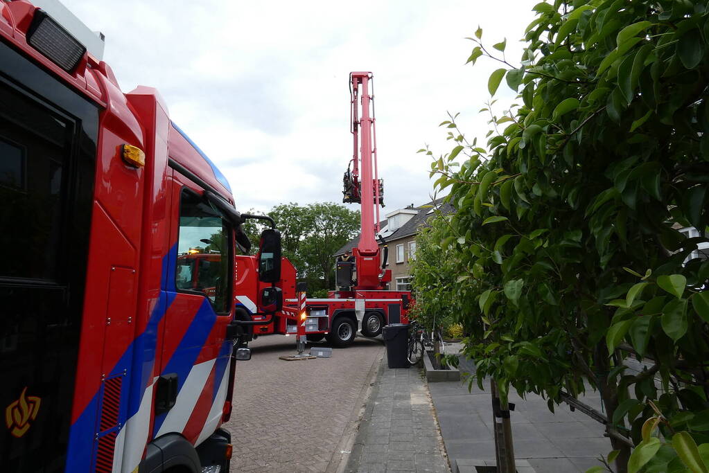 Brandweer redt vastzittende vogel