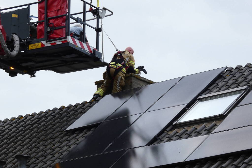Brandweer redt vastzittende vogel