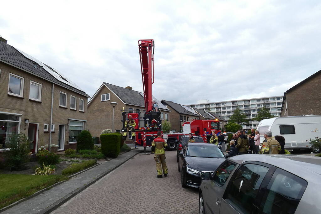 Brandweer redt vastzittende vogel
