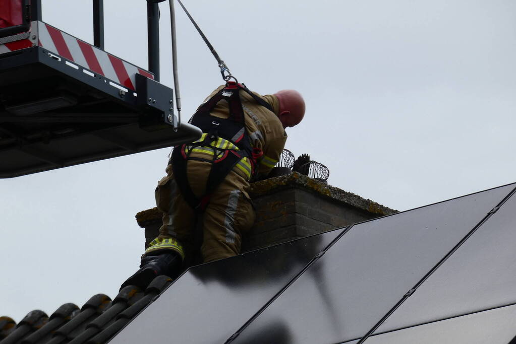Brandweer redt vastzittende vogel