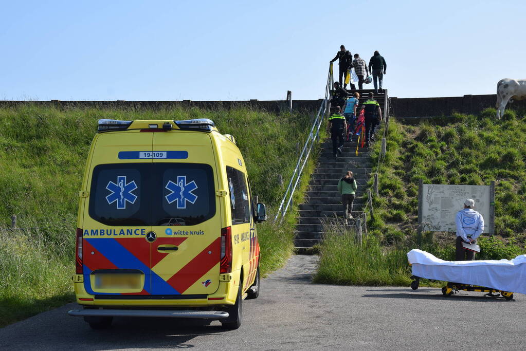 Duiker gewond bij waterongeval