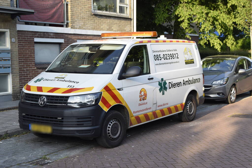 Brandweer ingezet voor vogelnest in muur