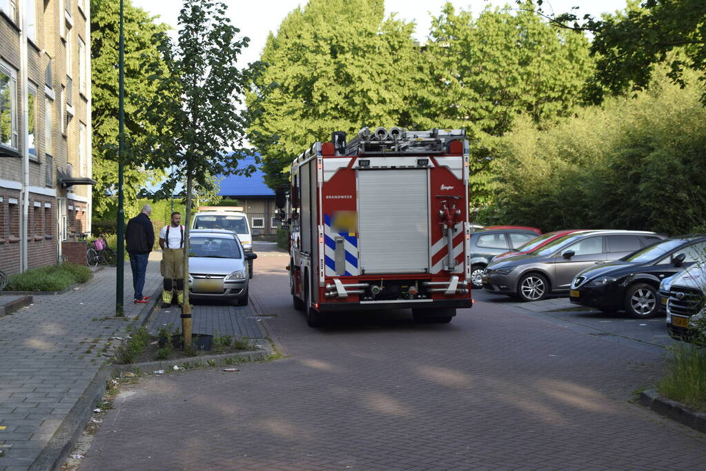 Brandweer ingezet voor vogelnest in muur