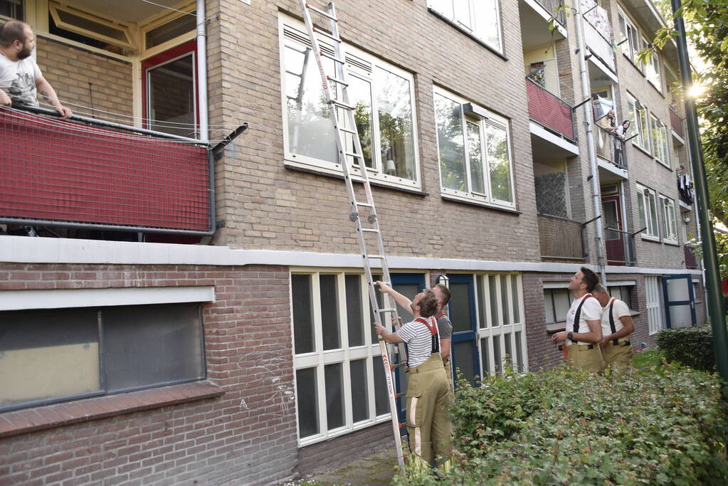 Brandweer ingezet voor vogelnest in muur