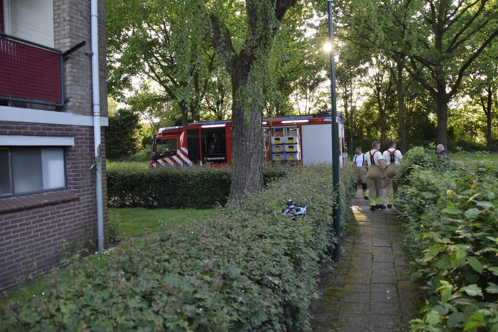 Brandweer ingezet voor vogelnest in muur