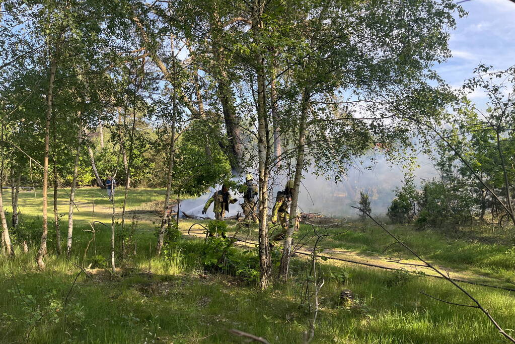 Bosbrand snel onder controle