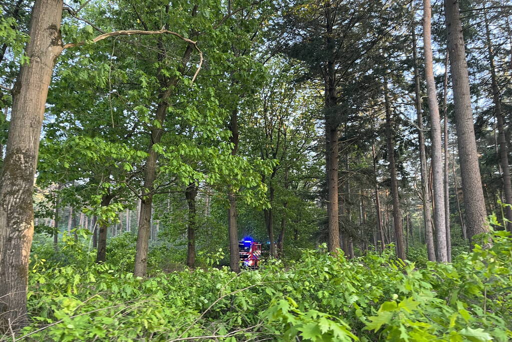 Brandweer groots ingezet voor bosbrand