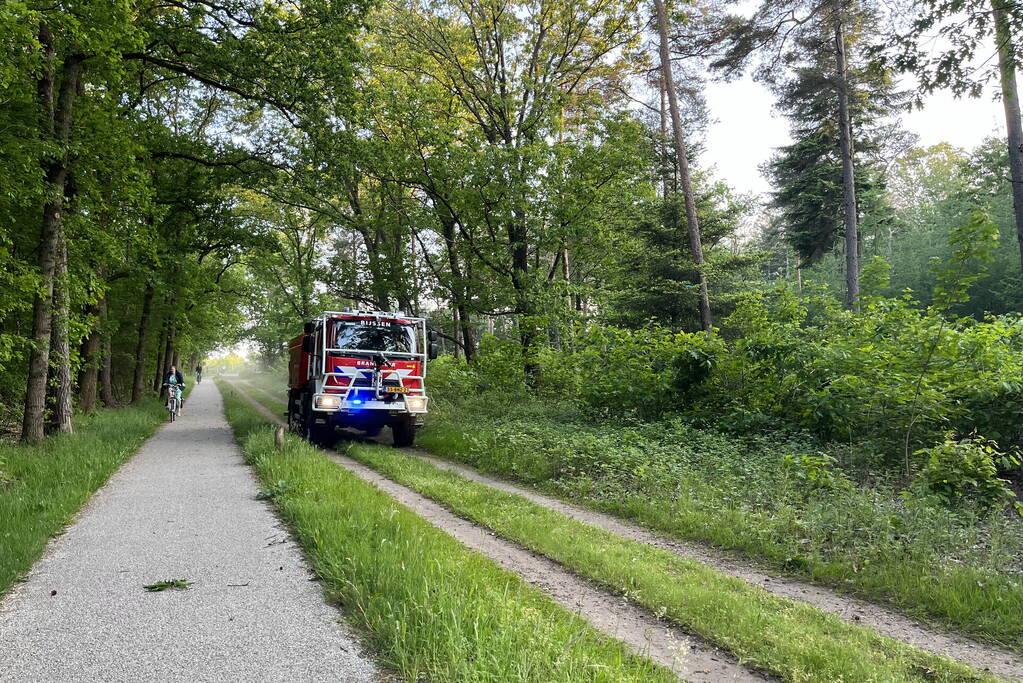 Brandweer groots ingezet voor bosbrand