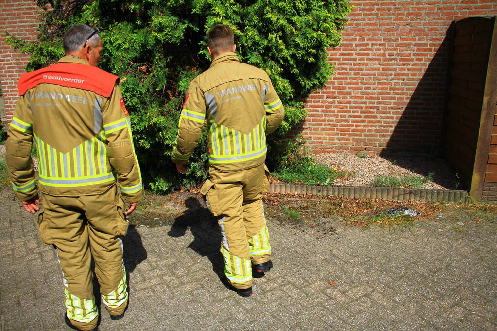 Onkruidverbranding loopt uit de hand, coniferen vatten vlam