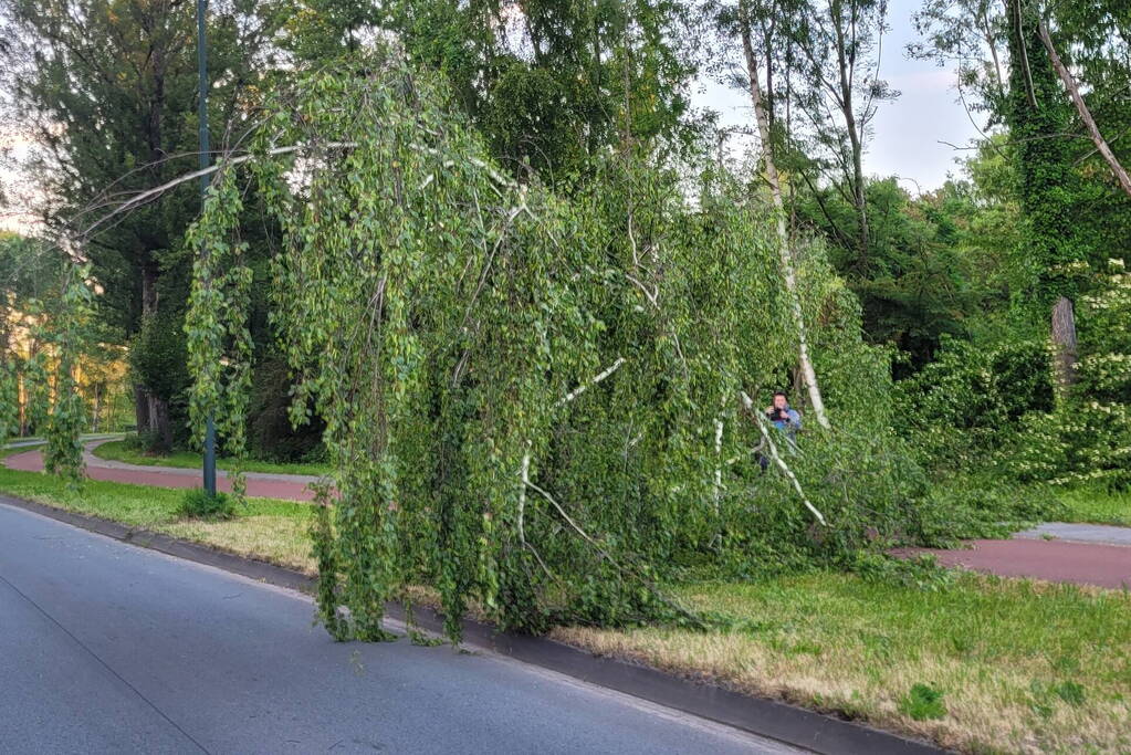 Brandweer ingezet voor omgevallen boom