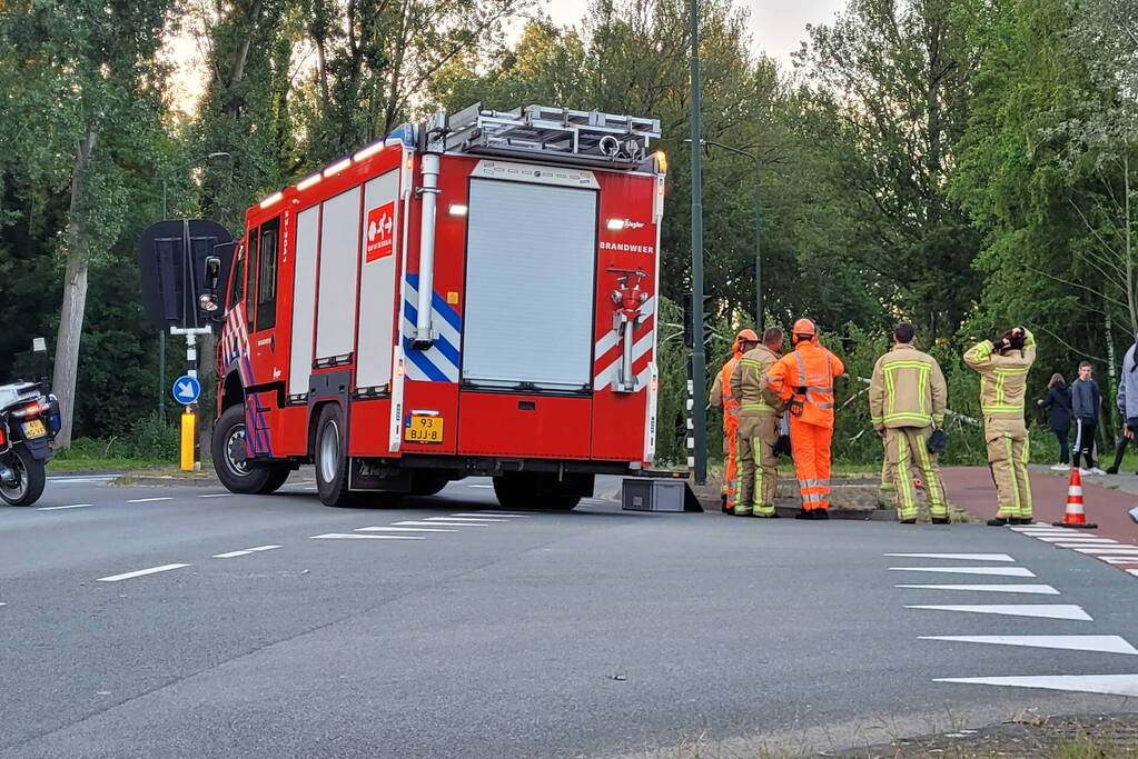 Brandweer ingezet voor omgevallen boom