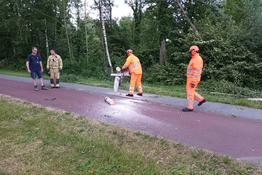 Brandweer ingezet voor omgevallen boom