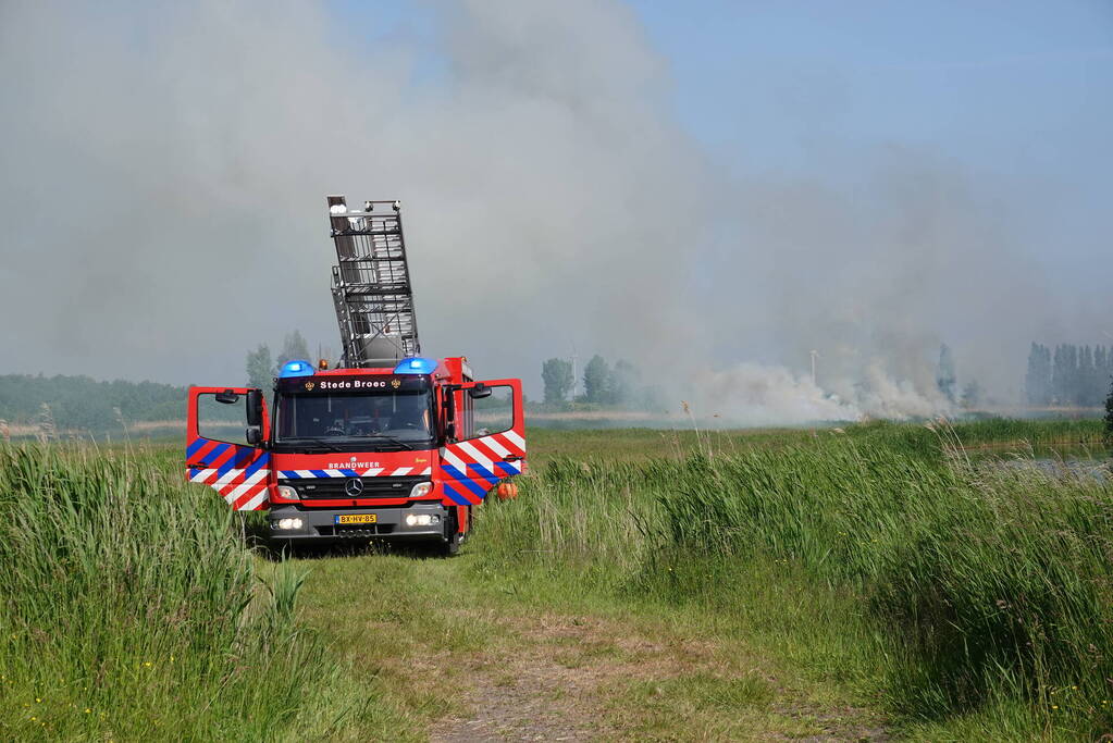 Schaapjes in veiligheid gebracht bij hevige rietbrand