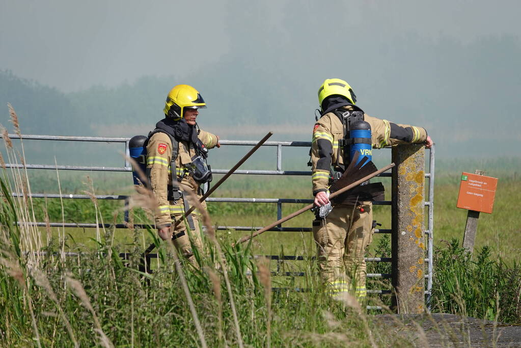 Schaapjes in veiligheid gebracht bij hevige rietbrand