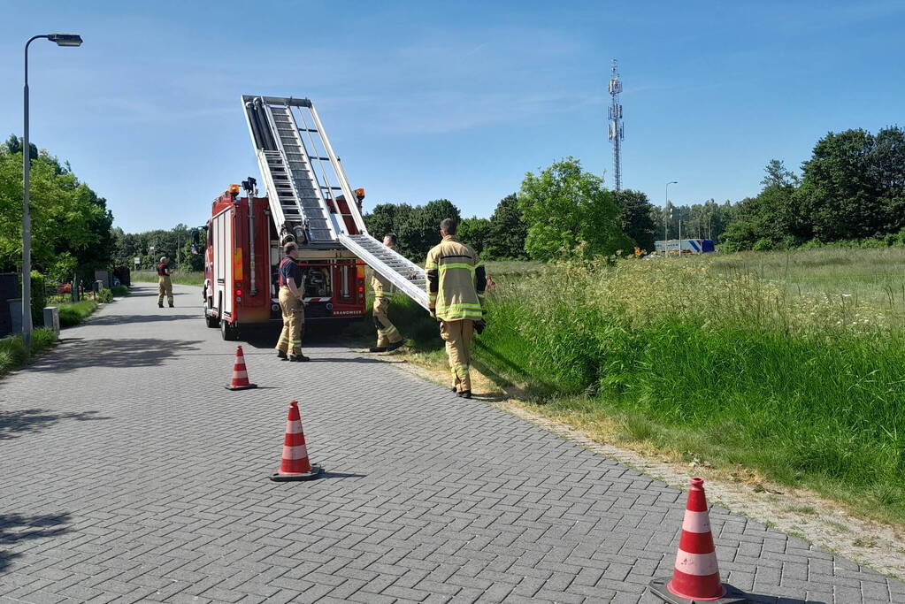 Brandweer haalt paard uit de sloot