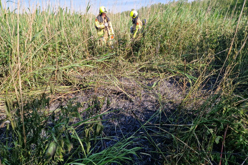 Rietbrand snel onder controle