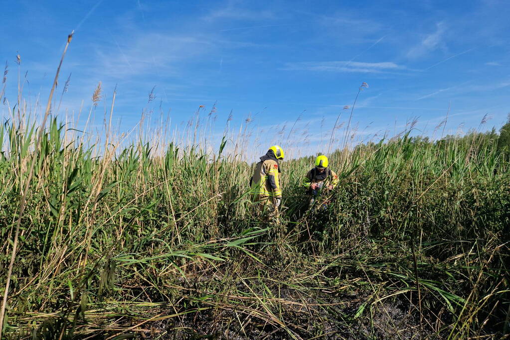 Rietbrand snel onder controle
