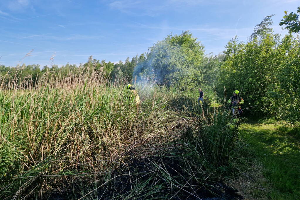 Rietbrand snel onder controle