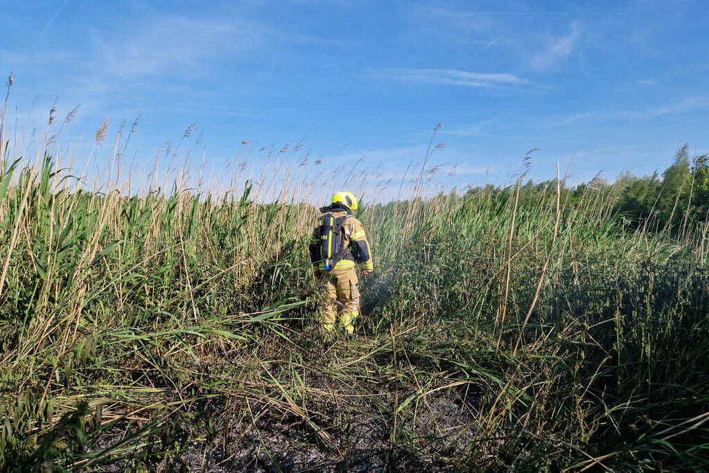 Rietbrand snel onder controle