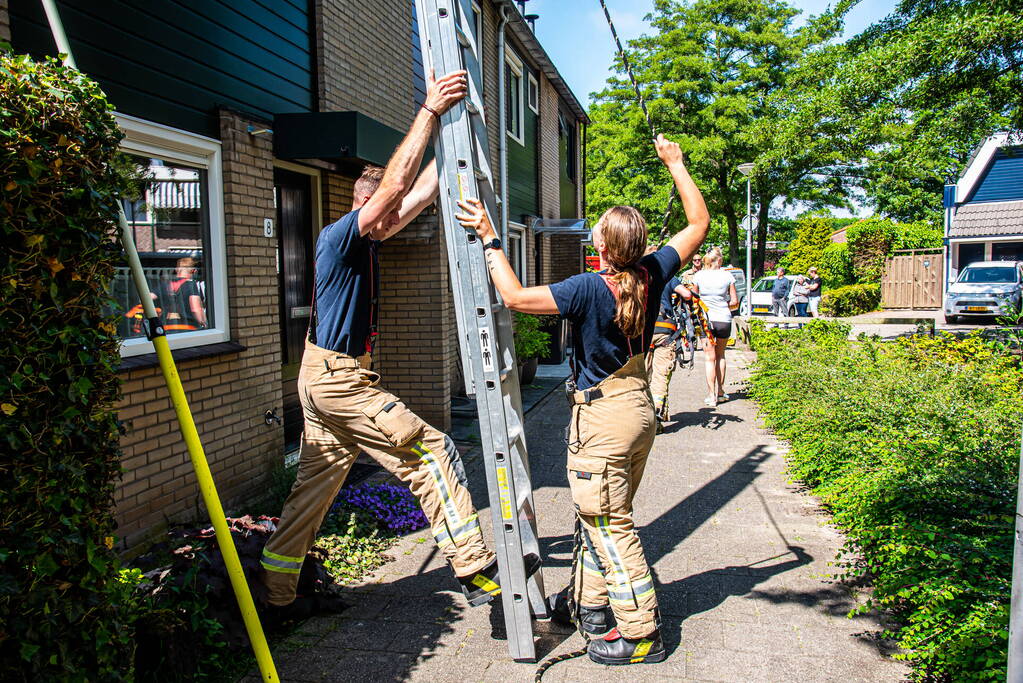 Sluwe kat weet brandweer opnieuw te slim af te zijn