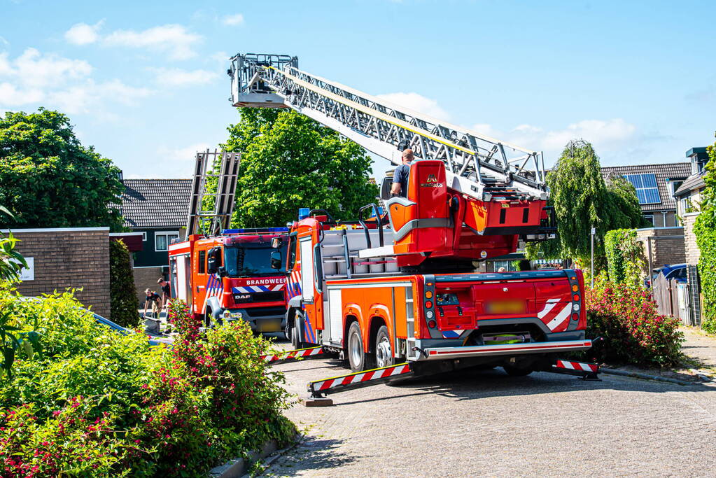 Sluwe kat weet brandweer opnieuw te slim af te zijn