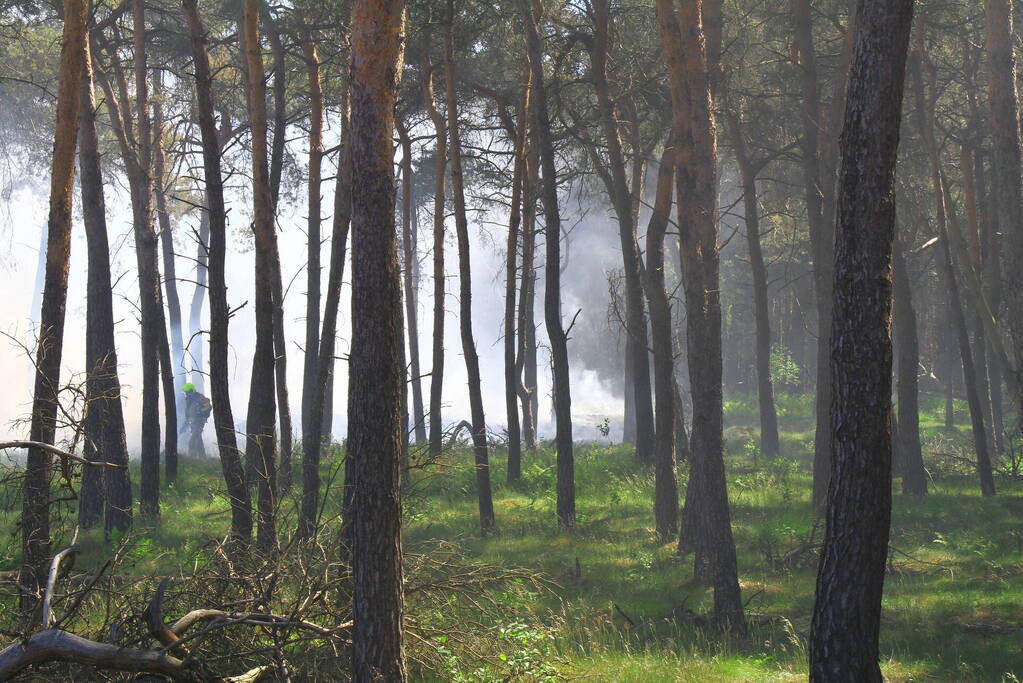 Brandweer rijdt zich vast bij natuurbrand