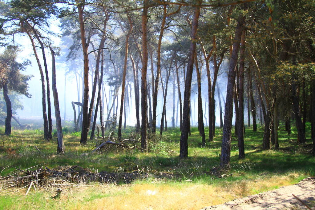 Brandweer rijdt zich vast bij natuurbrand