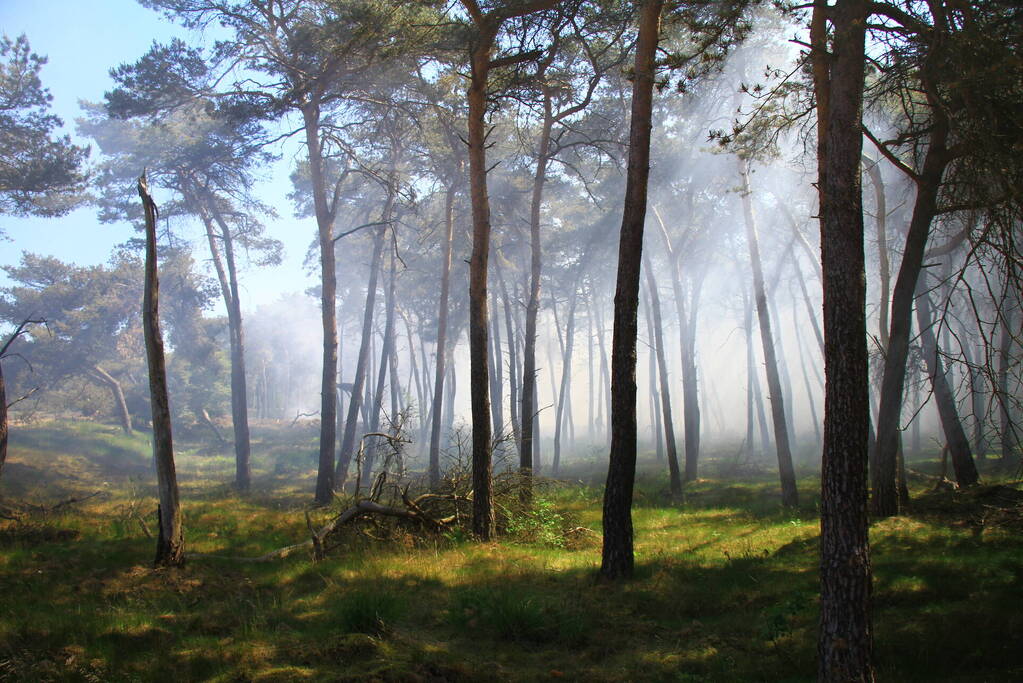 Brandweer rijdt zich vast bij natuurbrand