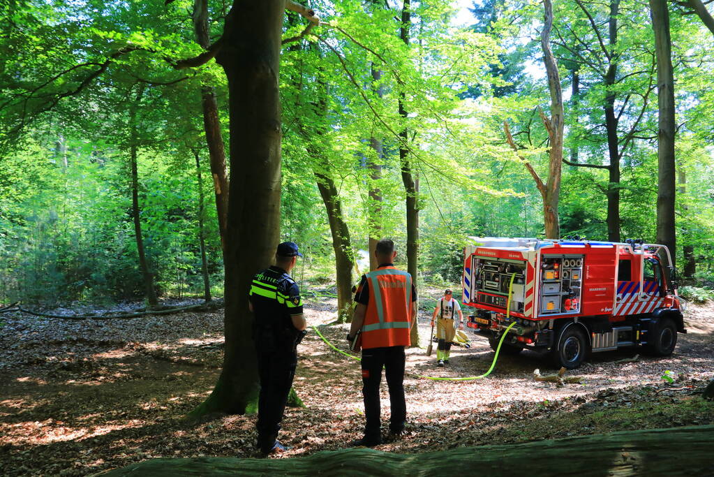 Flinke brand in natuurgebied Birkhoven