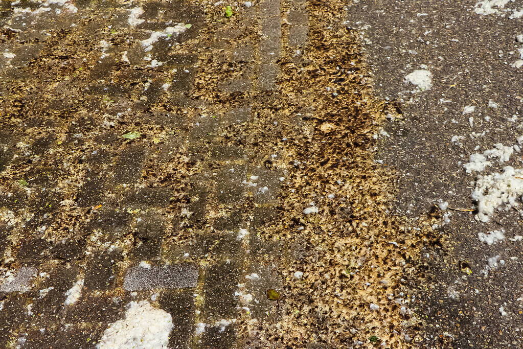 Brand op parkeerplaats