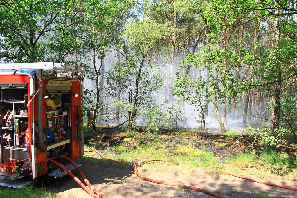 Brandweer bestrijdt hevige brand in natuurgebied