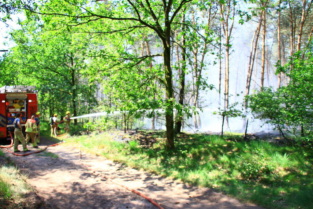 Brandweer bestrijdt hevige brand in natuurgebied