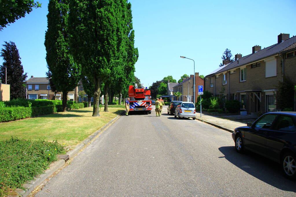 Kat in nood brandweer zet hoogwerker in voor reddingsactie