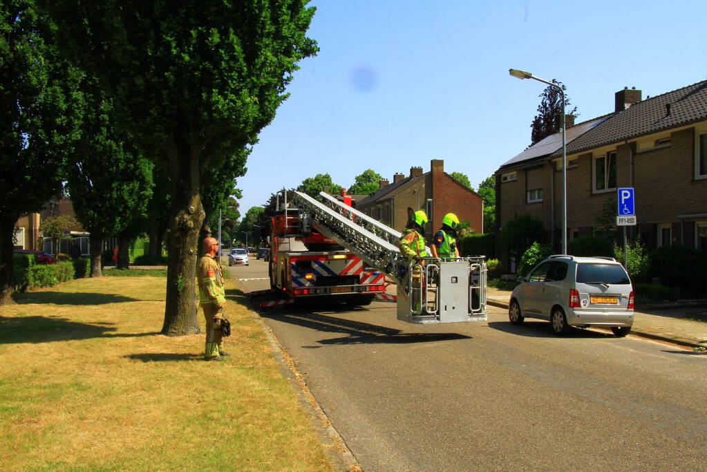 Kat in nood brandweer zet hoogwerker in voor reddingsactie