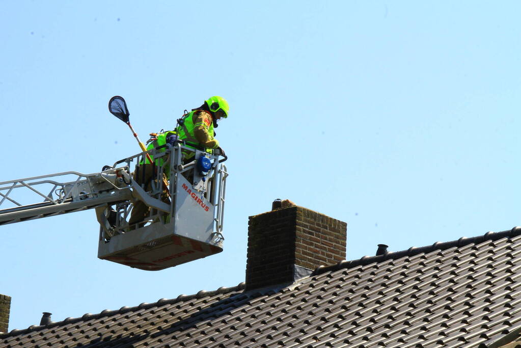 Kat in nood brandweer zet hoogwerker in voor reddingsactie