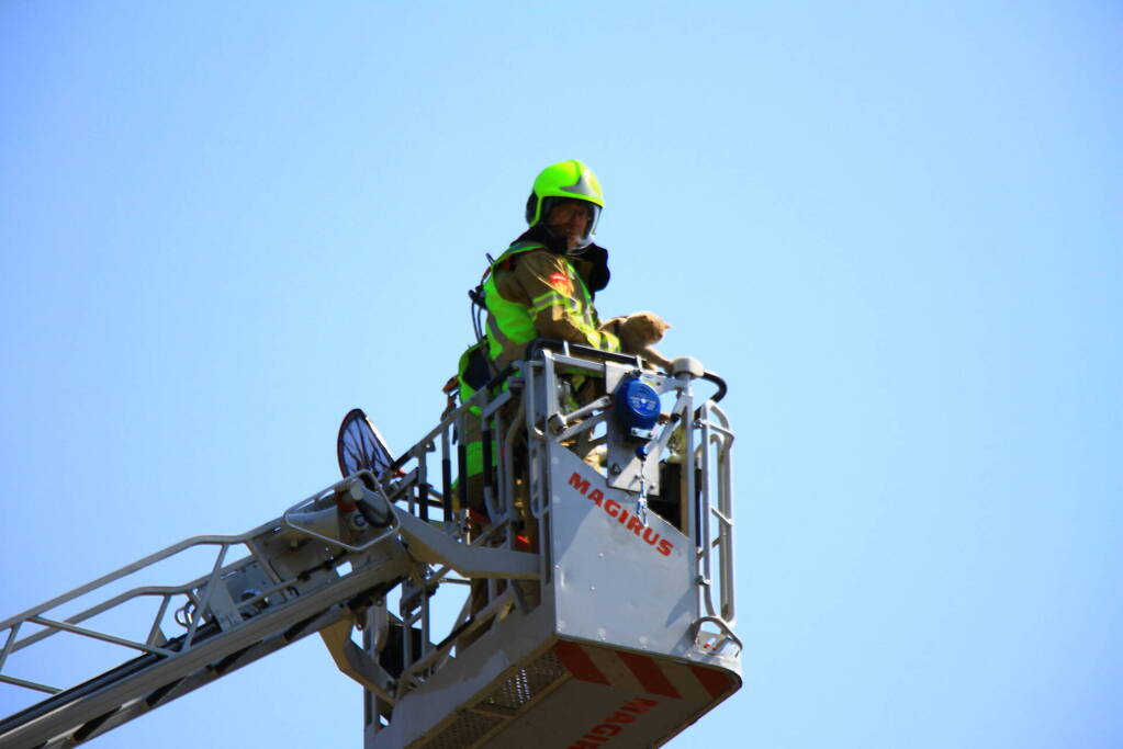 Kat in nood brandweer zet hoogwerker in voor reddingsactie