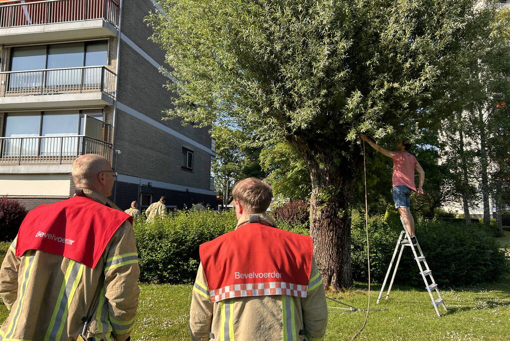 Brand in boom snel onder controle
