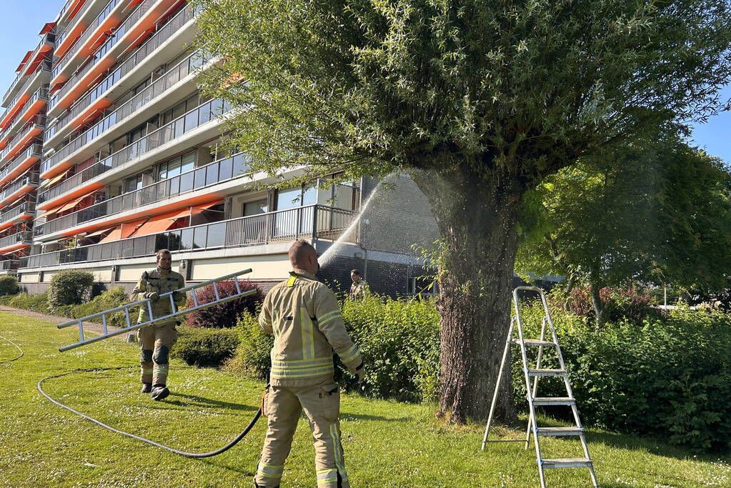 Brand in boom snel onder controle
